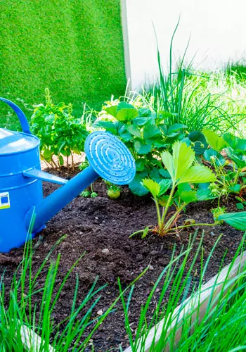 potager et activités ludiques