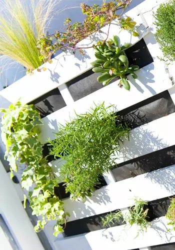 activités jardinage et sensibilisation à la nature