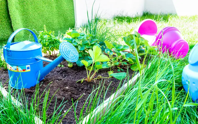 potager et activités ludiques